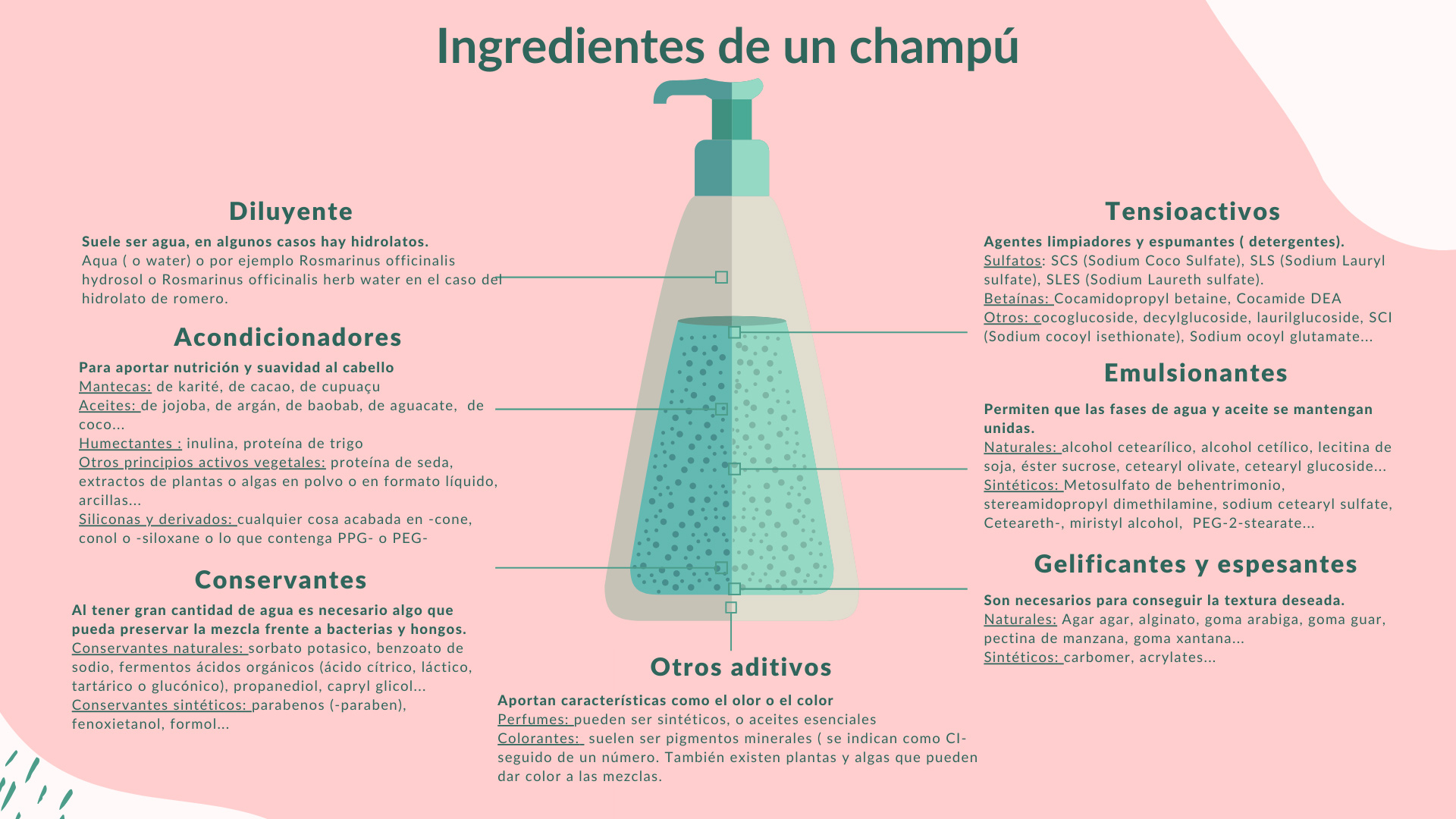 INGREDIENTES DE UN CHAMPÚ