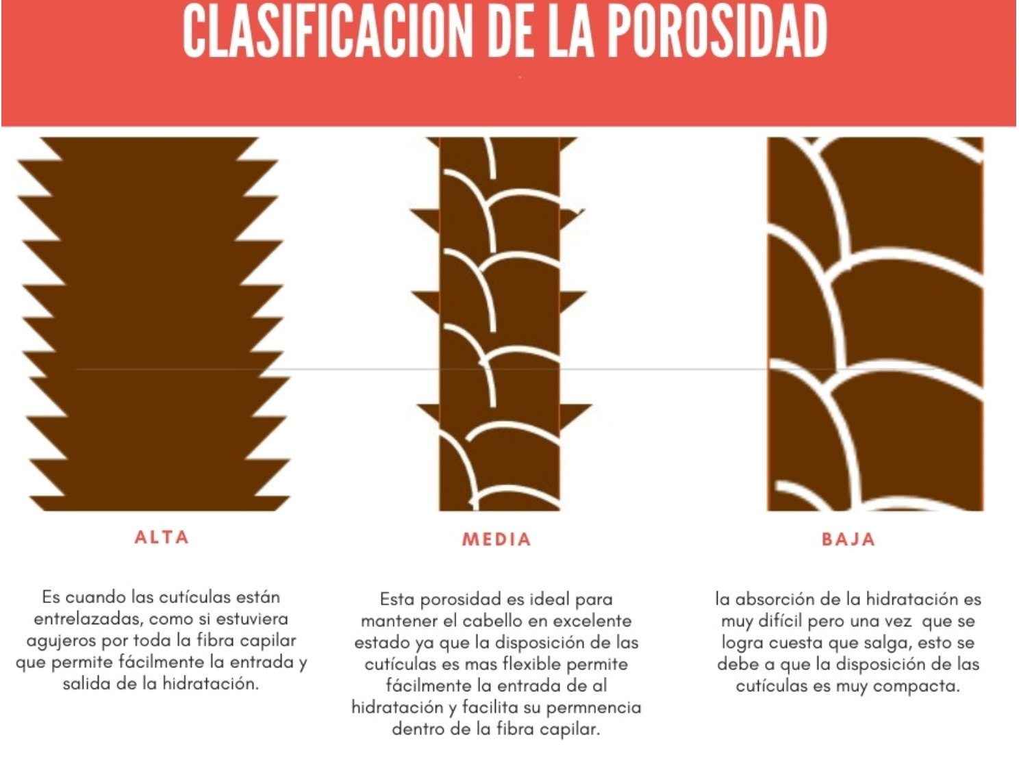 CLASIFICACIÓN POROSIDAD