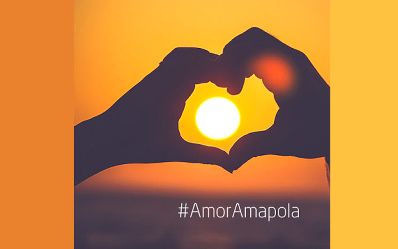 #AmorAmapola