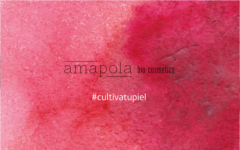 I ENCUENTRO BLOGGER EN TALLER AMAPOLA