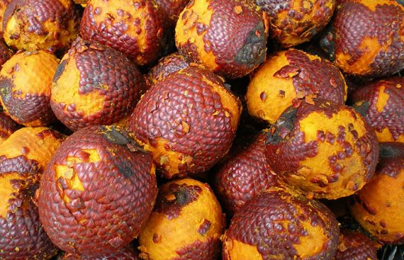 Buriti - Amapola Biocosmetics