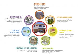 Procesos de fabricación - Amapola Biocosmetics - Cosmética Natural