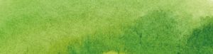 verde - Amapola Biocosmetics